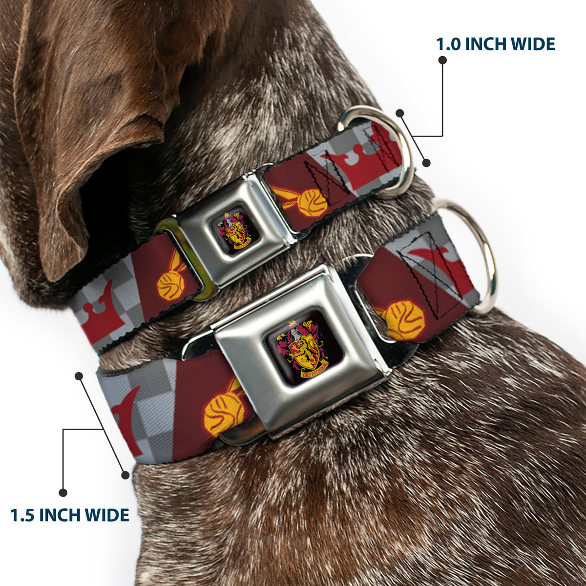 Gryffindor Crest Full Color Seatbelt Buckle Collar - Harry Potter GRYFFINDOR/Quiditch Ball/Crown Burgundy Red/Golds/Grays