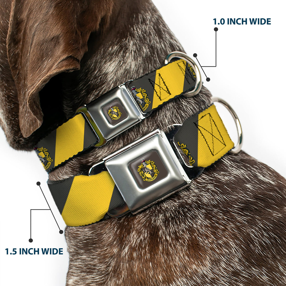 HUFFLEPUFF Crest Full Color Charcoal Gray Seatbelt Buckle Collar - HUFFLEPUFF Crest Diagonal Stripe Charcoal Gray/Yellow