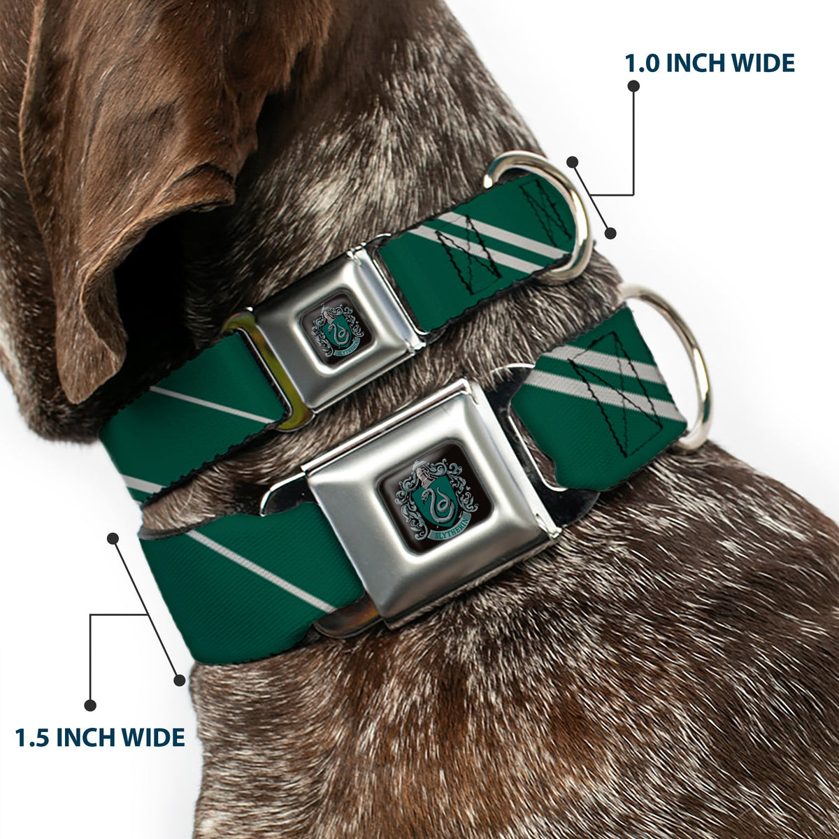 Slytherin Crest Full Color Seatbelt Buckle Collar - Slytherin Crest/Stripe5 Green/Gray