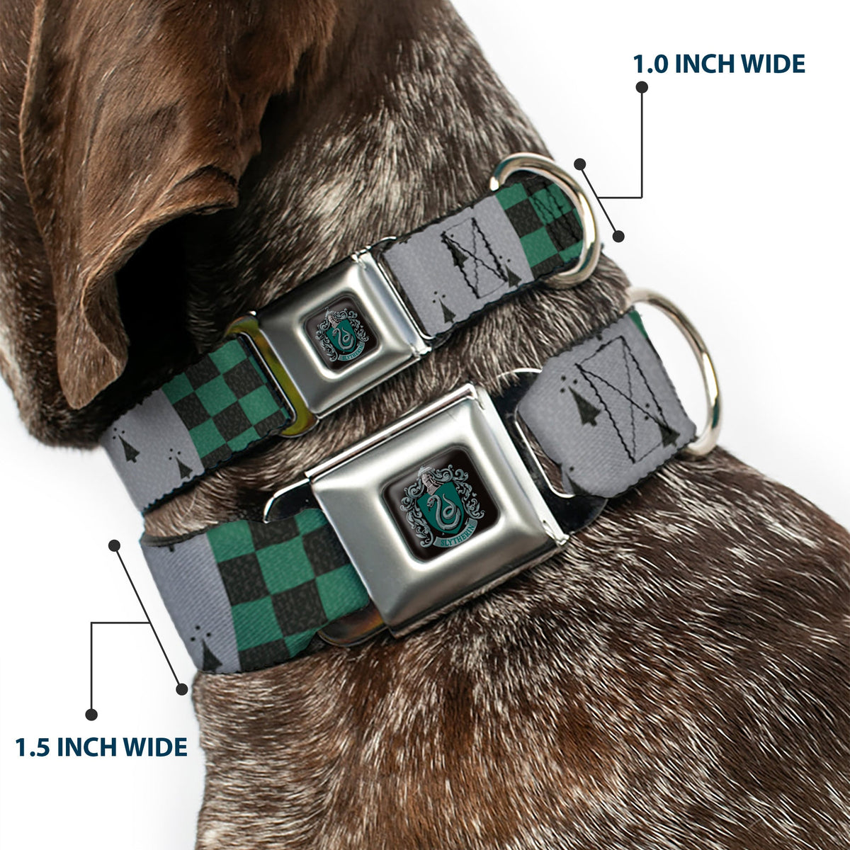 Slytherin Crest Full Color Seatbelt Buckle Collar - Harry Potter SLYTHERIN/Checker Blocks Grays/Greens
