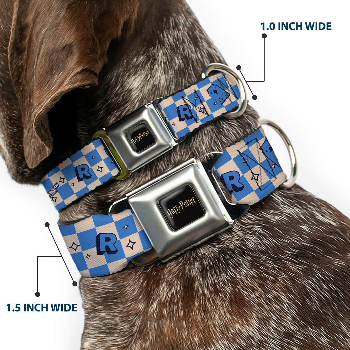 HARRY POTTER Title Logo Full Color Black Seatbelt Buckle Collar - Harry Potter Ravenclaw Icons Checker White/Blue
