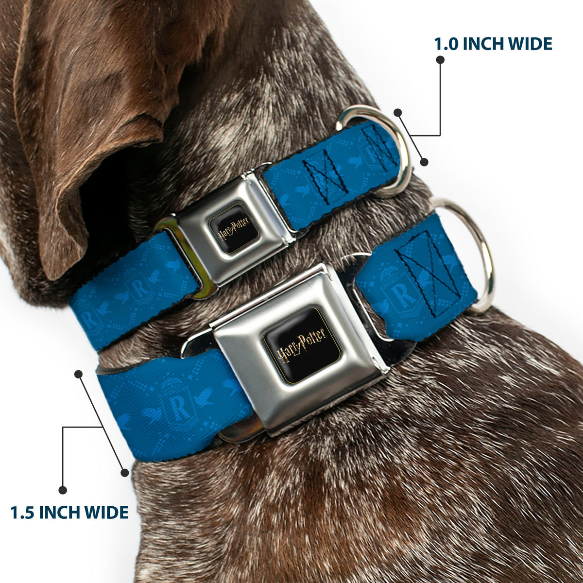HARRY POTTER Title Logo Full Color Black Seatbelt Buckle Collar - Harry Potter Ravenclaw House Pride Banner Blues