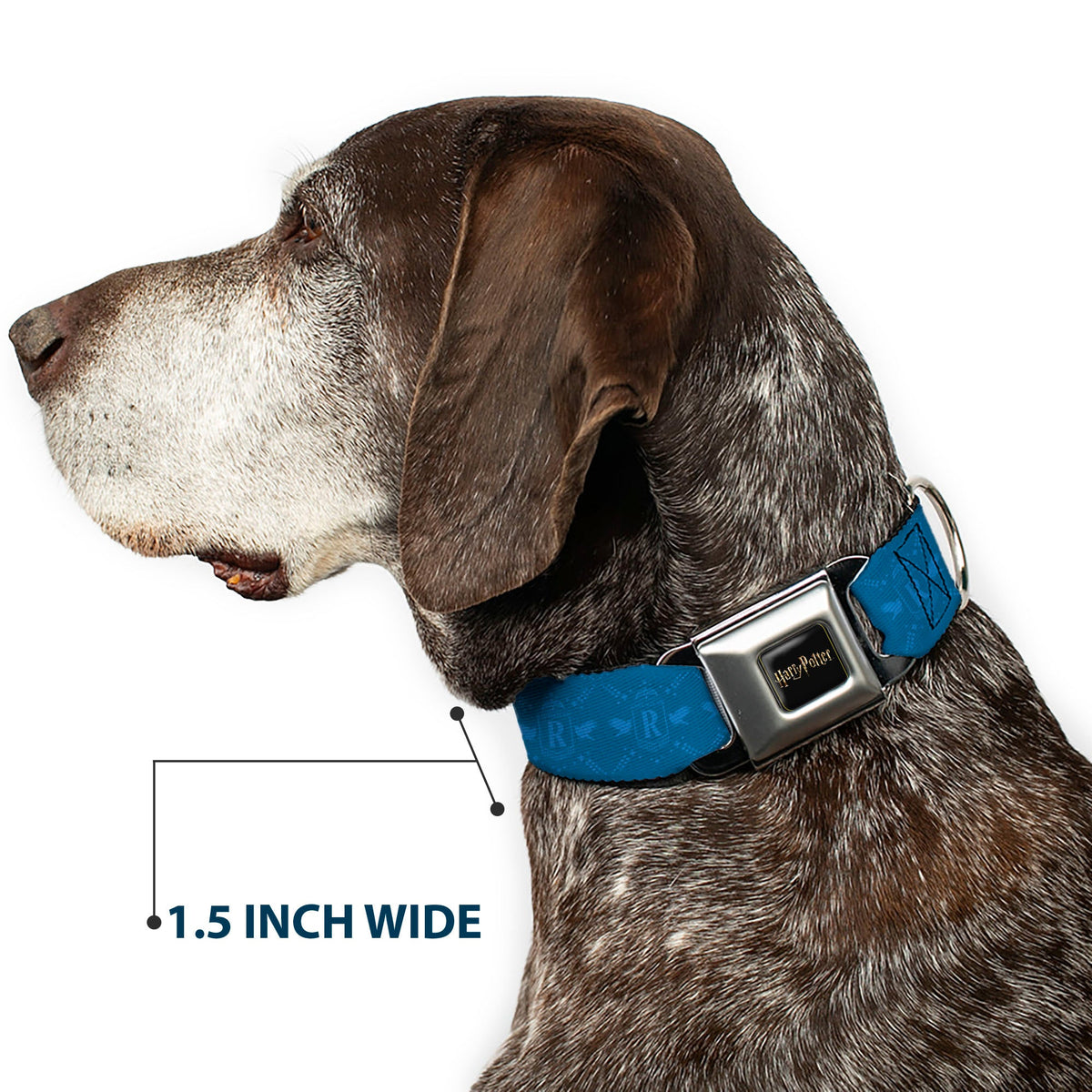 HARRY POTTER Title Logo Full Color Black Seatbelt Buckle Collar - Harry Potter Ravenclaw House Pride Banner Blues