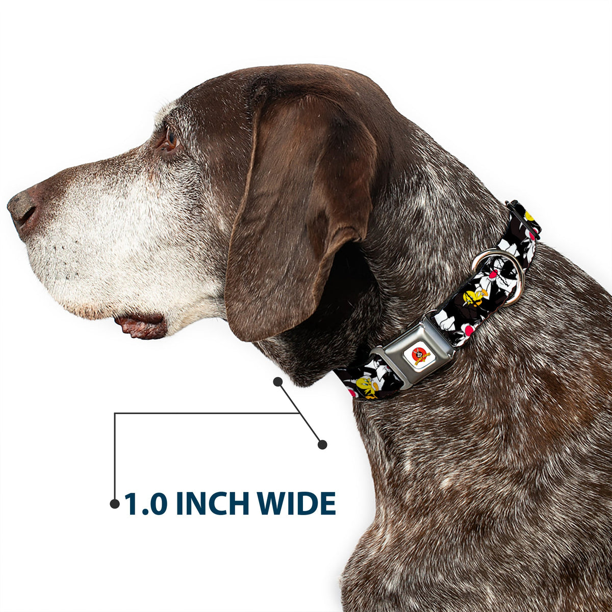 Looney Tunes Logo White Seatbelt Buckle Collar - Sylvester and Tweety Poses Scattered Charcoal