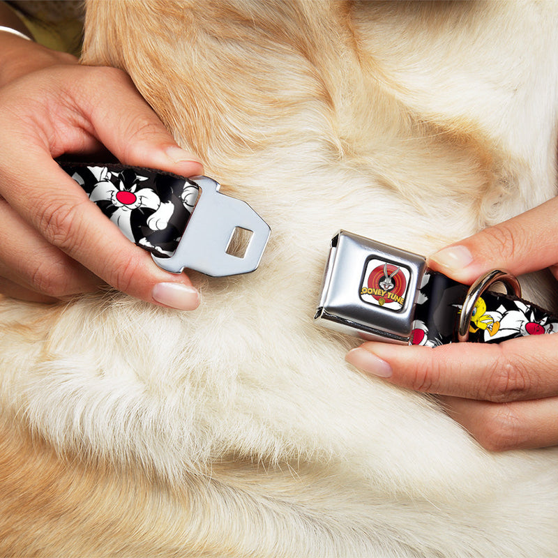 Looney Tunes Logo White Seatbelt Buckle Collar - Sylvester and Tweety Poses Scattered Charcoal