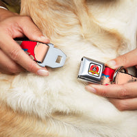 Looney Tunes Logo Full Color White Seatbelt Buckle Collar - Porky Pig Expressions Red