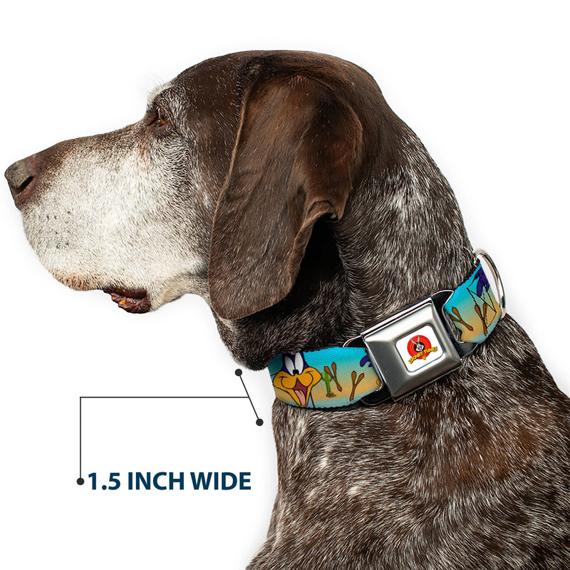Looney Tunes Logo White Seatbelt Buckle Collar - Road Runner/Wile E. Coyote Scene1 Brown Fade