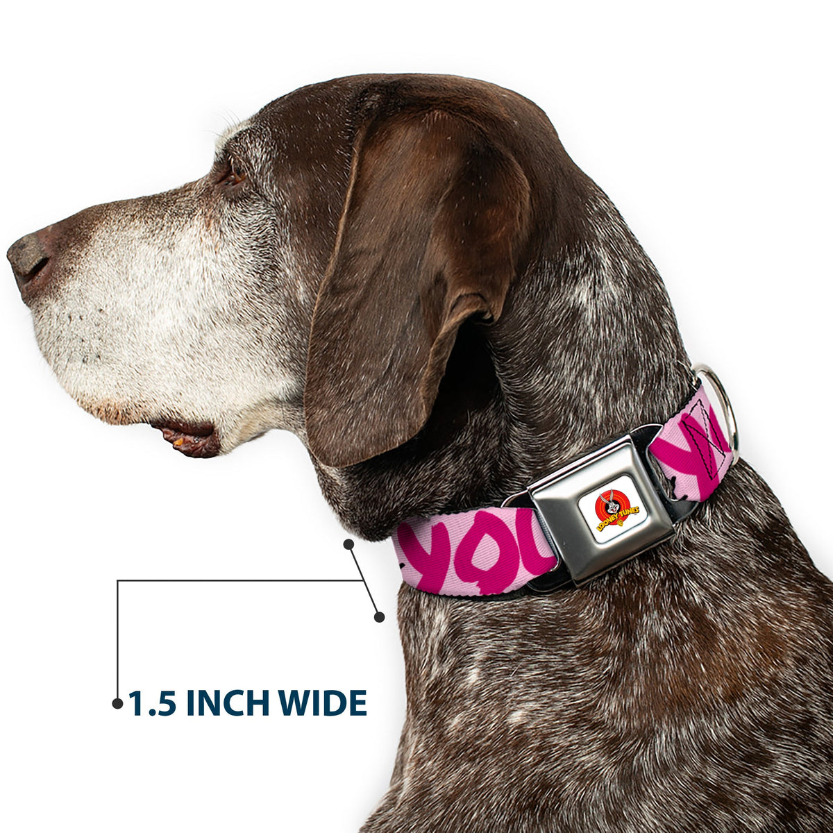 Looney Tunes Logo Full Color White Seatbelt Buckle Collar - Tweety Bird I LOVE YOU Pink/Black