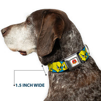 Looney Tunes Logo Full Color White Seatbelt Buckle Collar - Tweety Bird CLOSE-UP Expressions Baby Blue