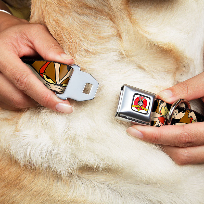 Looney Tunes Logo Full Color White Seatbelt Buckle Collar - Wile E. Coyote Expressions Black