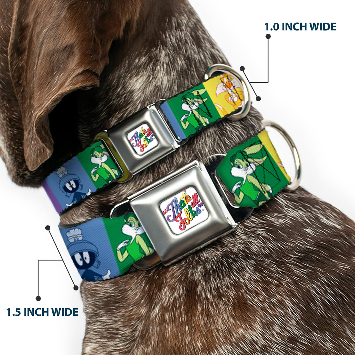 Looney Tunes THAT'S ALL FOLKS Script Full Color White/Multi Color Seatbelt Buckle Collar - Looney Tunes 6-Character Pose Pride Blocks Multi Color