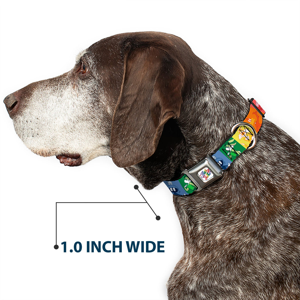 Looney Tunes THAT'S ALL FOLKS Script Full Color White/Multi Color Seatbelt Buckle Collar - Looney Tunes 6-Character Pose Pride Blocks Multi Color