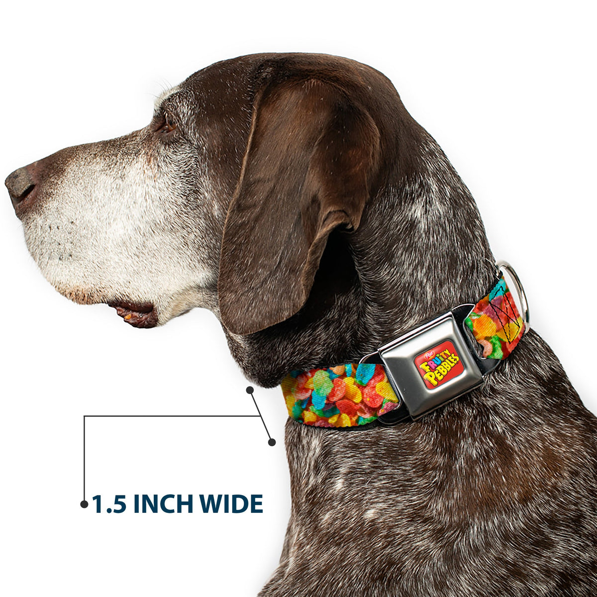 POST FRUITY PEBBLES Logo Full Color Red/Multi Color Seatbelt Buckle Collar - Fruity Pebbles Vivid Cereal CLOSE-UP Multi Color