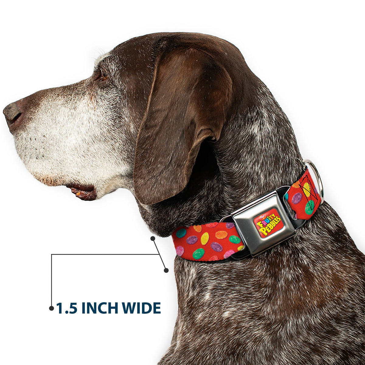 POST FRUITY PEBBLES Logo Full Color Red/Multi Color Seatbelt Buckle Collar - Fruity Pebbles Cereal Pebbles Scattered Red/Multi Color