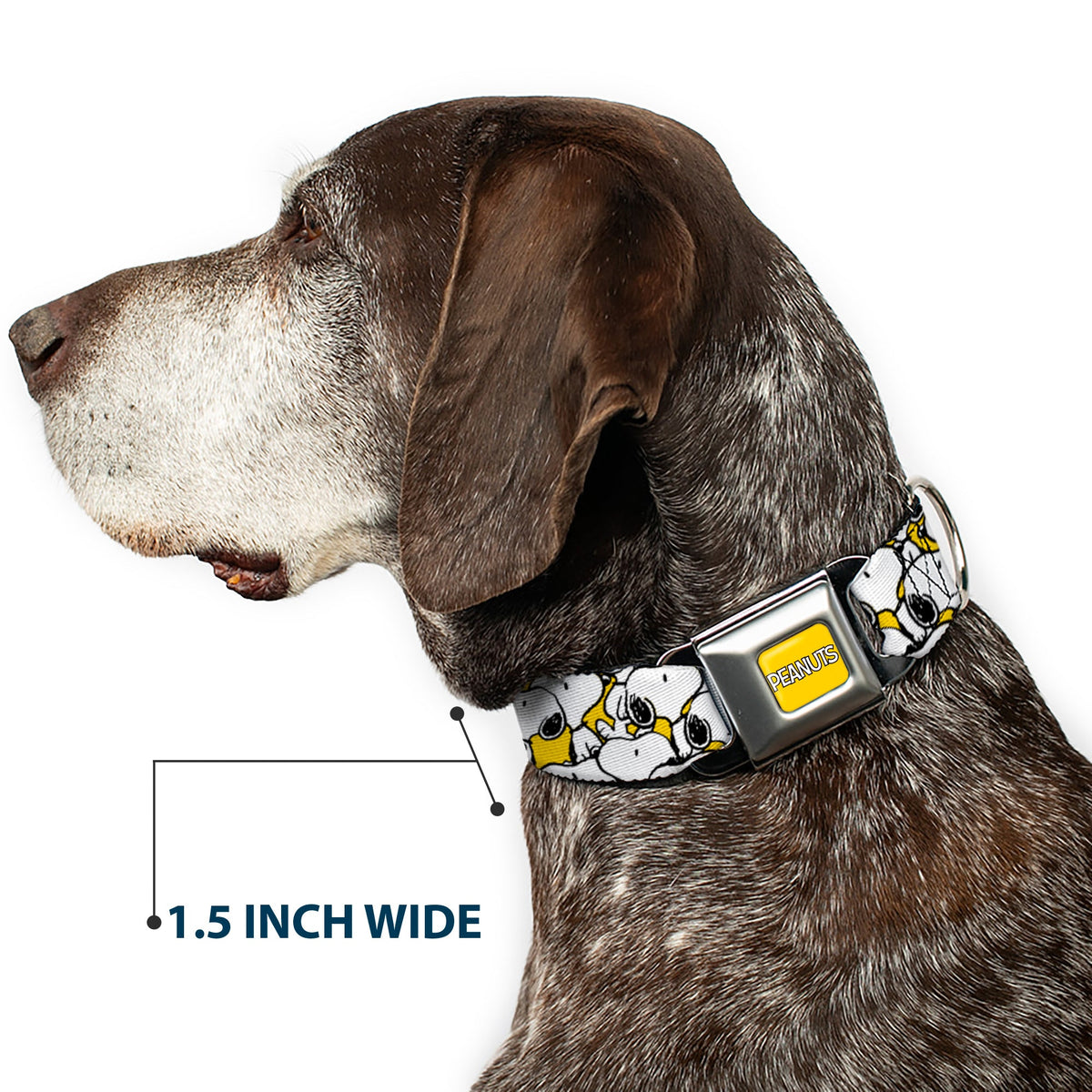 PEANUTS Title Logo Full Color Yellow/White Seatbelt Buckle Collar - Peanuts Snoopy Pose Stacked Yellow