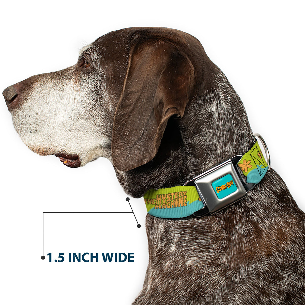 SCOOBY DOO! Text Logo Full Color Aqua/Orange Seatbelt Buckle Collar - Scooby Doo THE MYSTERY MACHINE Paint Job Green/Aqua/Orange