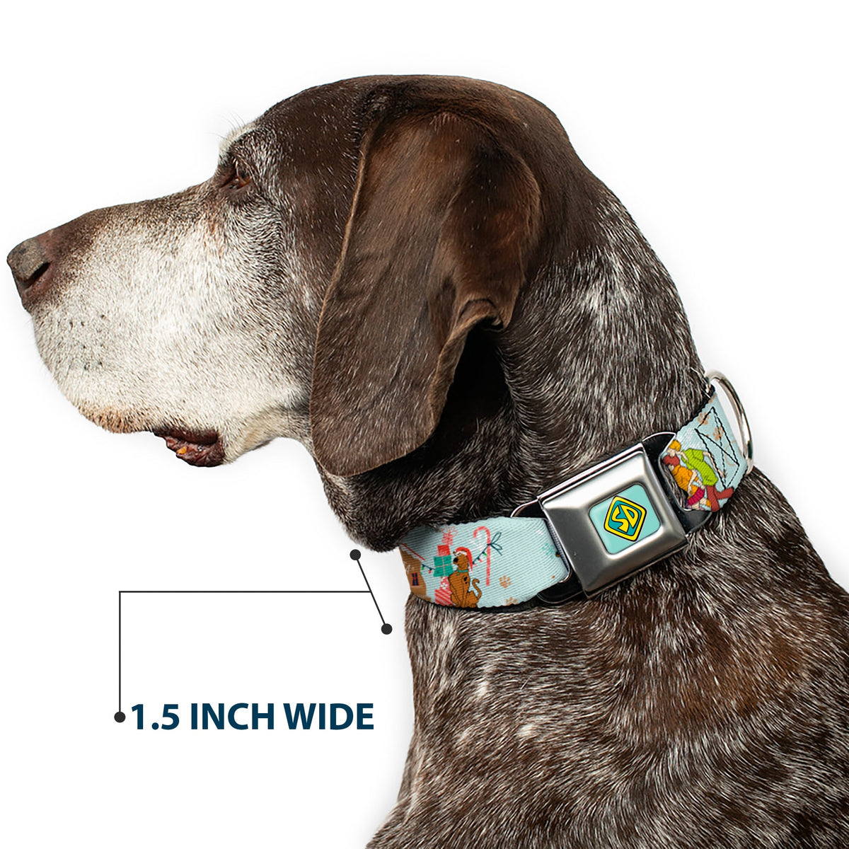 Scooby Doo SD Dog Tag Baby Blue Seatbelt Buckle Collar - Scooby Doo Holiday Scenes and Icons Baby Blue