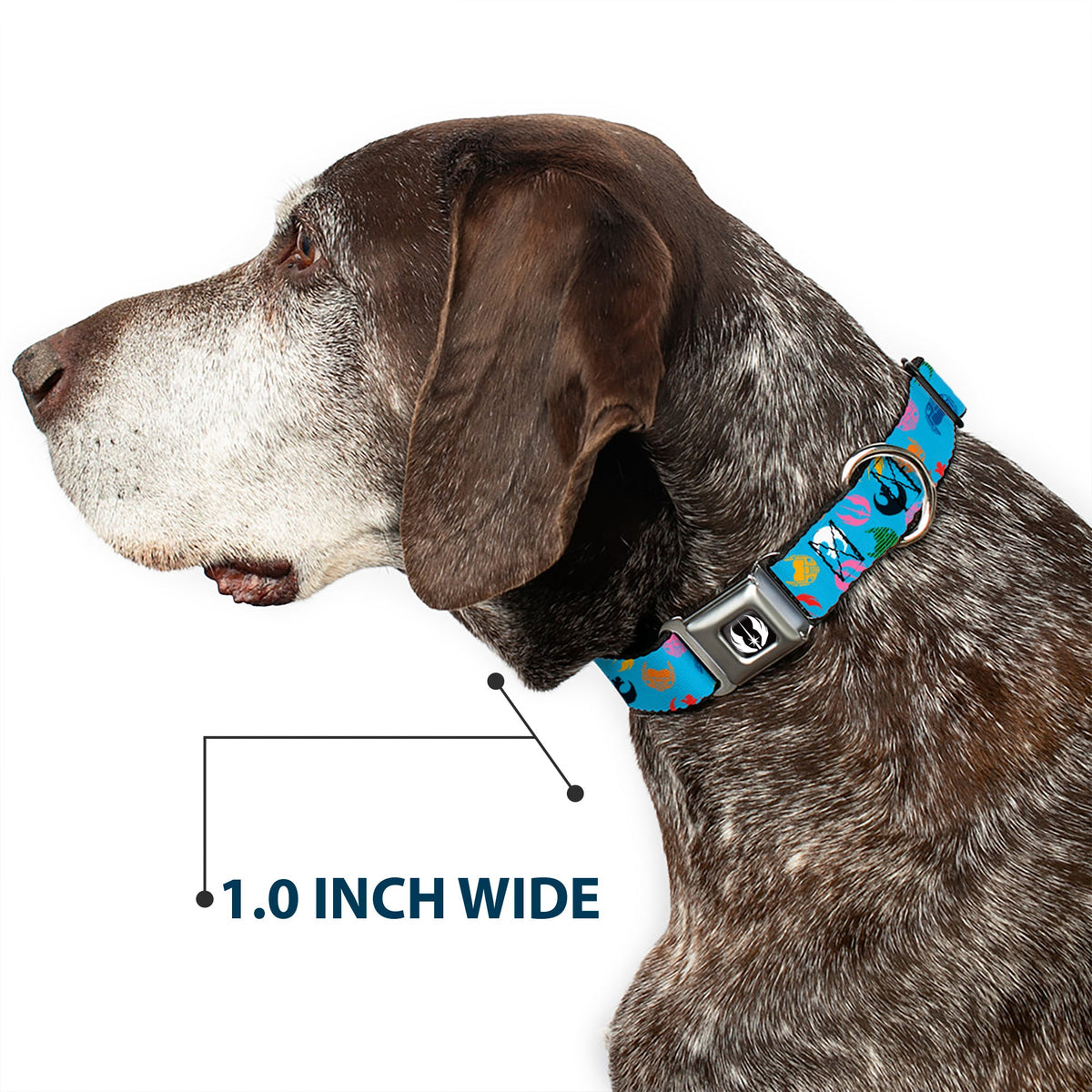 Star Wars Jedi Order Icon Full Color Black/White Seatbelt Buckle Collar - Star Wars Jedi Order and Rebel Alliance Icons Scattered Blue/Multi Color