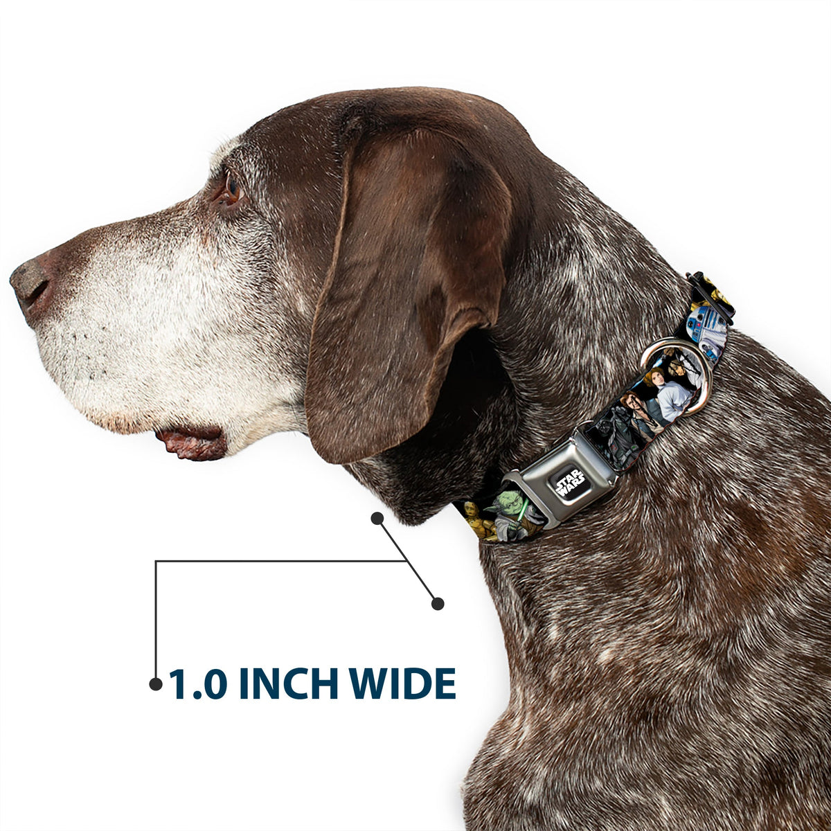 STAR WARS Logo Full Color Black/White Seatbelt Buckle Collar - Star Wars Classic Character Poses Black