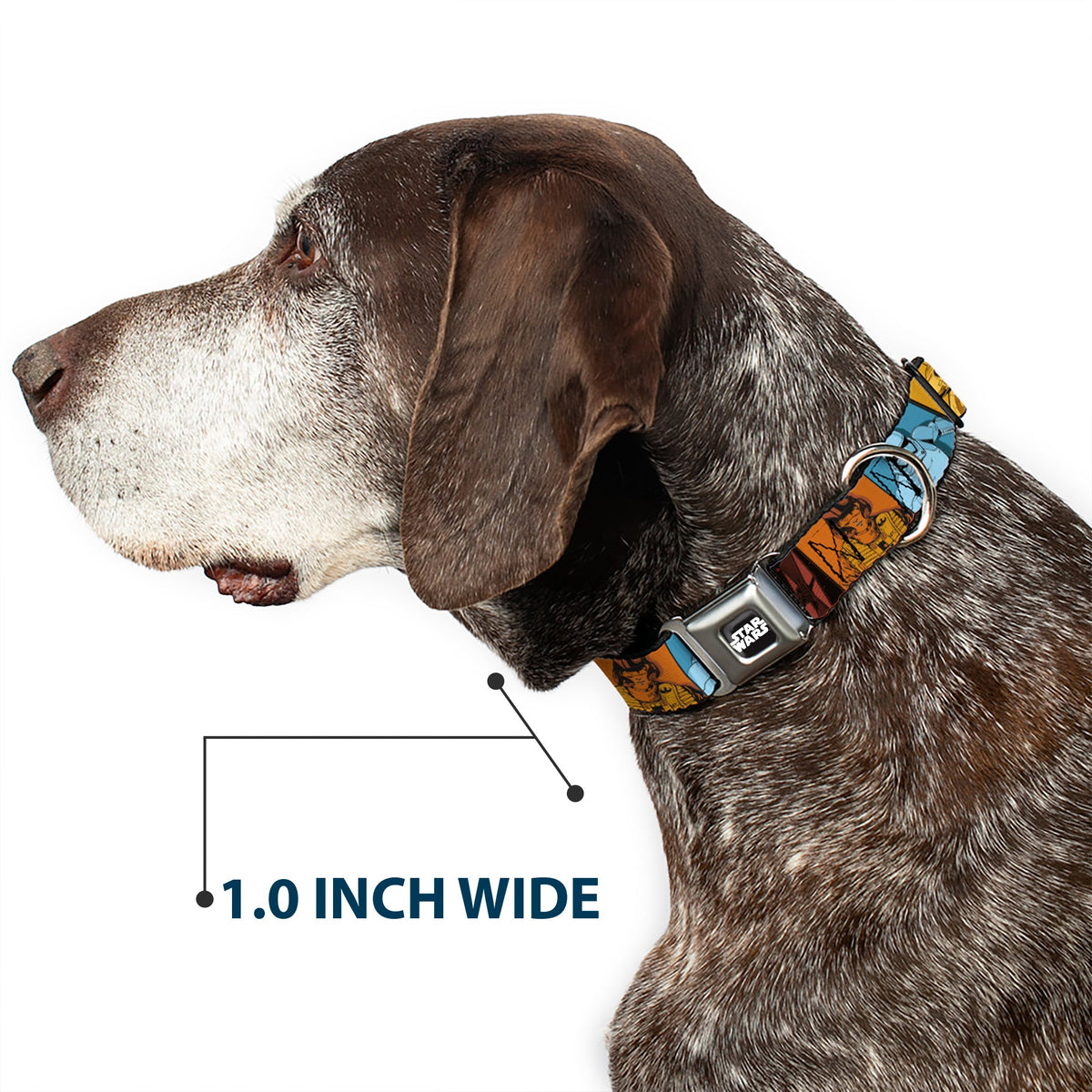 STAR WARS Logo Full Color Black/White Seatbelt Buckle Collar - Star Wars the Force Awakens Character and Icon Blocks Multi Color