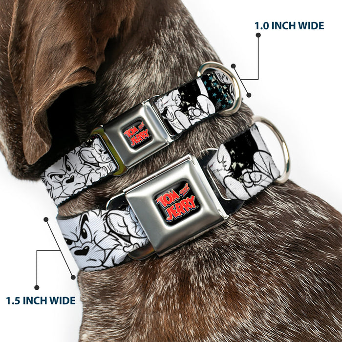 Tom and Jerry Logo Full Color Black Red Seatbelt Buckle Collar - TOM & JERRY Face & Pose Sketch Black/White/Red/Blue