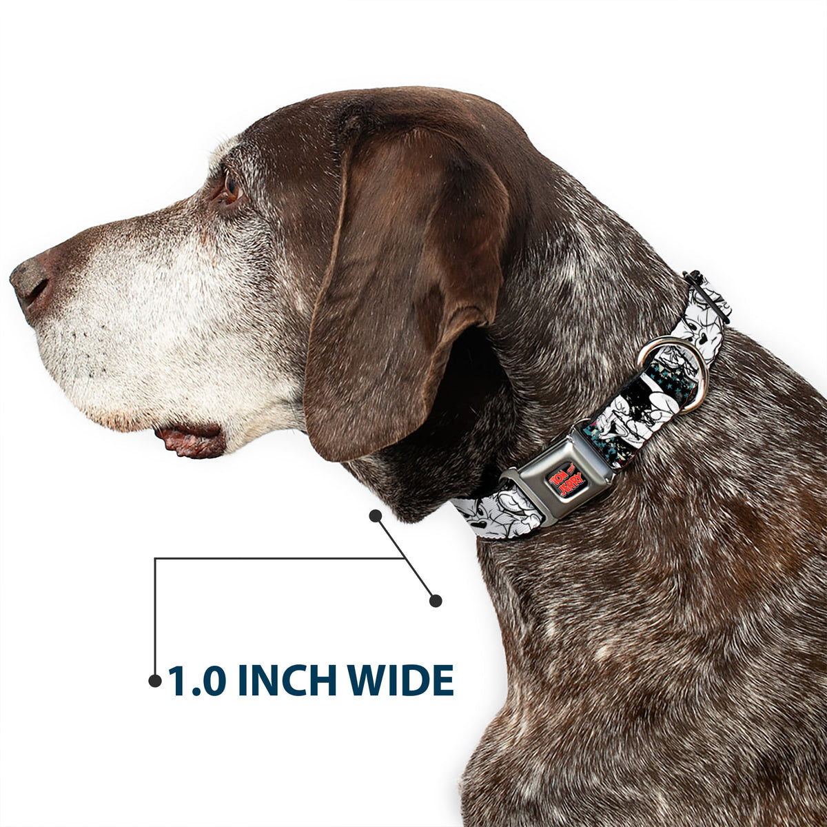 Tom and Jerry Logo Full Color Black Red Seatbelt Buckle Collar - TOM & JERRY Face & Pose Sketch Black/White/Red/Blue