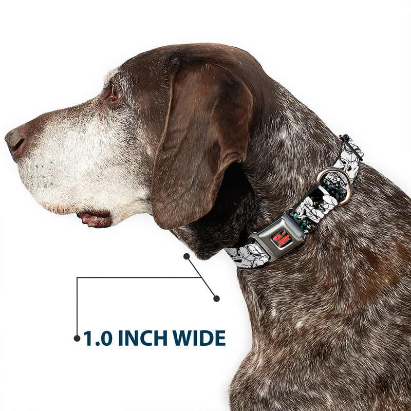 Tom and Jerry Logo Full Color Black Red Seatbelt Buckle Collar - TOM & JERRY Face & Pose Sketch Black/White/Red/Blue