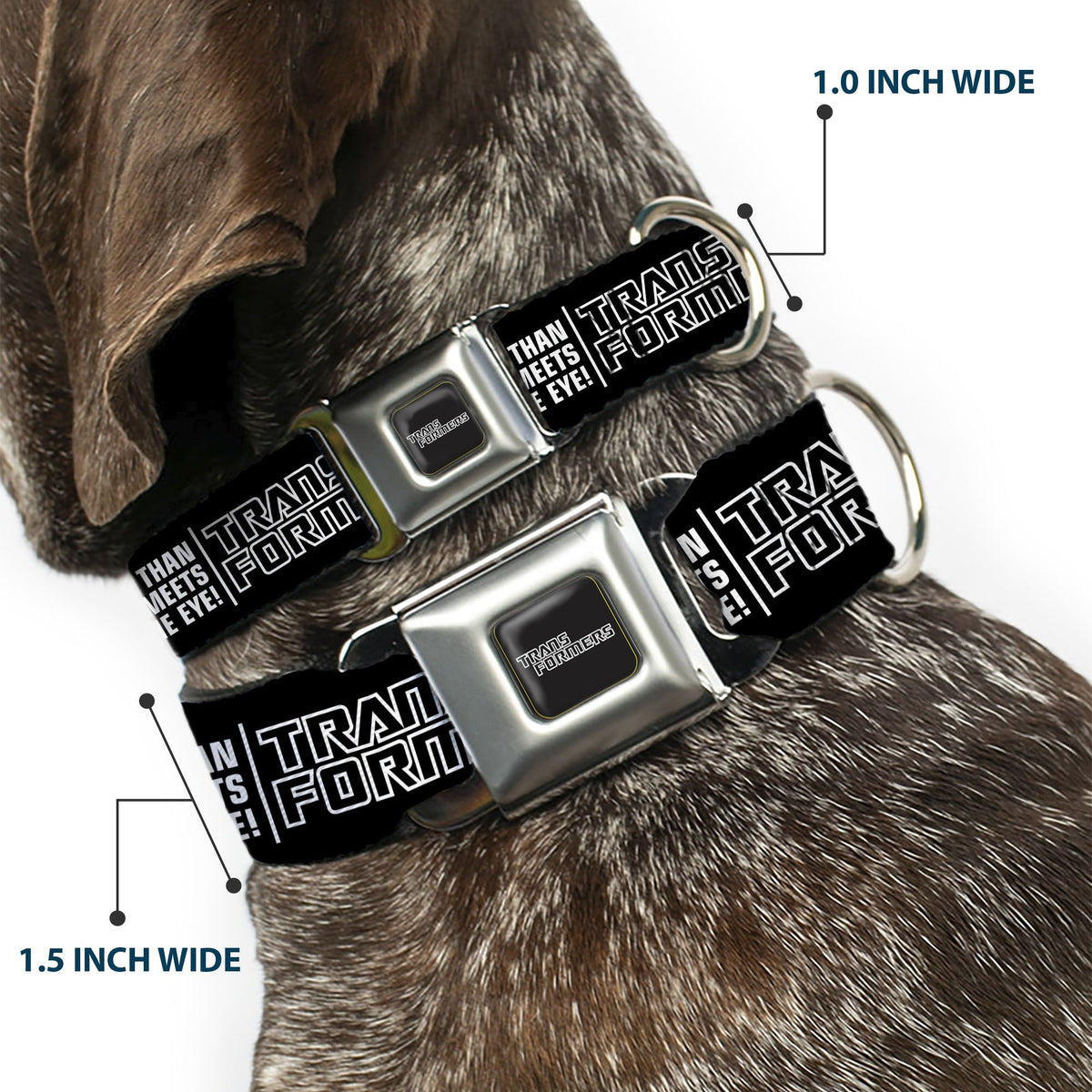 TRANSFORMERS Title Logo Full Color Black/Gray Fade Seatbelt Buckle Collar - TRANSFORMERS MORE THAN MEETS THE EYE Character Trio Black/White