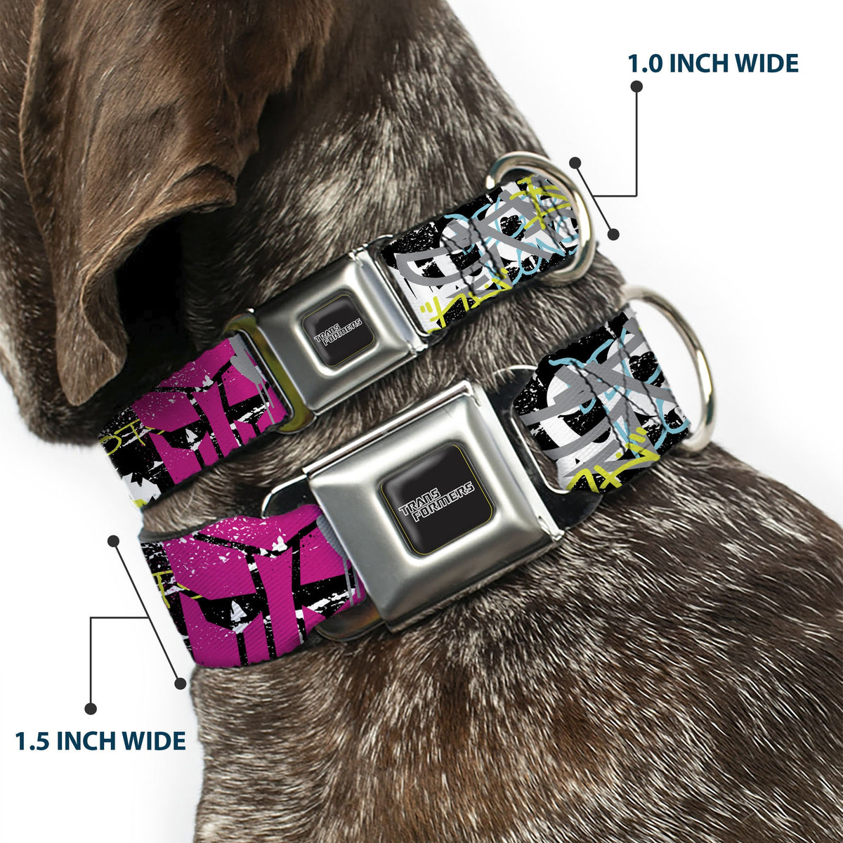 TRANSFORMERS Title Logo Full Color Black/Gray Fade Seatbelt Buckle Collar - Transformers Icons and Names Graffiti Collage Black/Multi Color