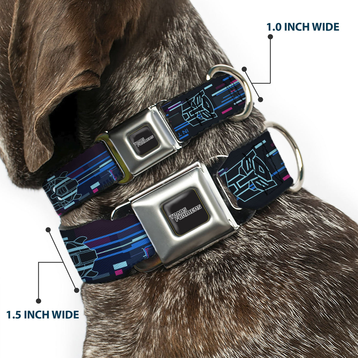 TRANSFORMERS Title Logo Full Color Black/Gray Fade Seatbelt Buckle Collar - Transformers Autobots IN THE ZONE Icons Blues/Reds