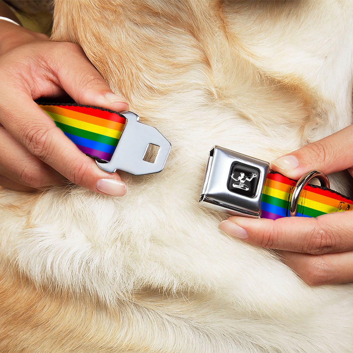 Spirit of Detroit Logo Full Color Black/White Seatbelt Buckle Collar - Flag Pride Rainbow