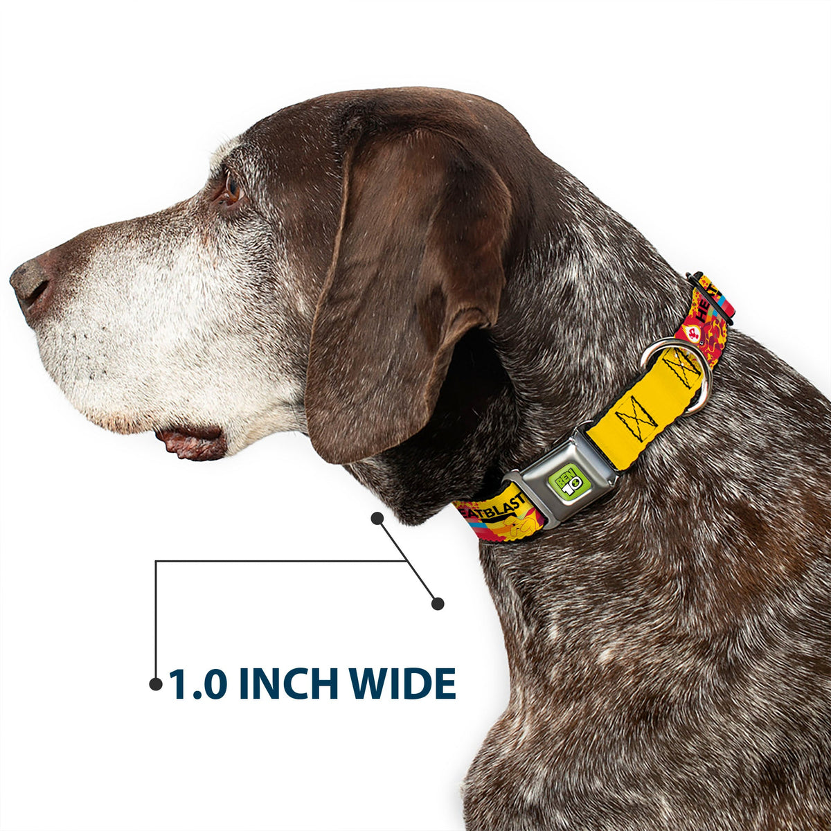 BEN 10 Title Logo Full Color Green/Black/White Seatbelt Buckle Collar - BEN 10 HEATBLAST Poses and Text Yellow/Reds