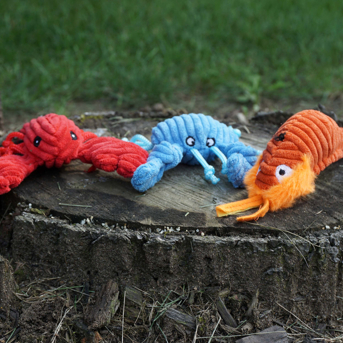 Raw Bar Wee Huggles® Plush Dog Toys, 3 pack