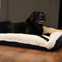 Scout Perfect Bolster Dog Bed