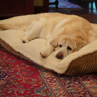 Scout Perfect Bolster Dog Bed