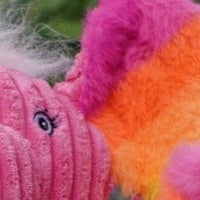 Rainbow Elephant Knottie® Plush Dog Toy