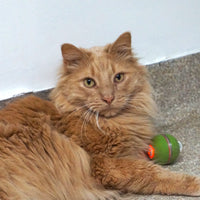 HuggleKats® PlayKat® Interactive Cat Toy