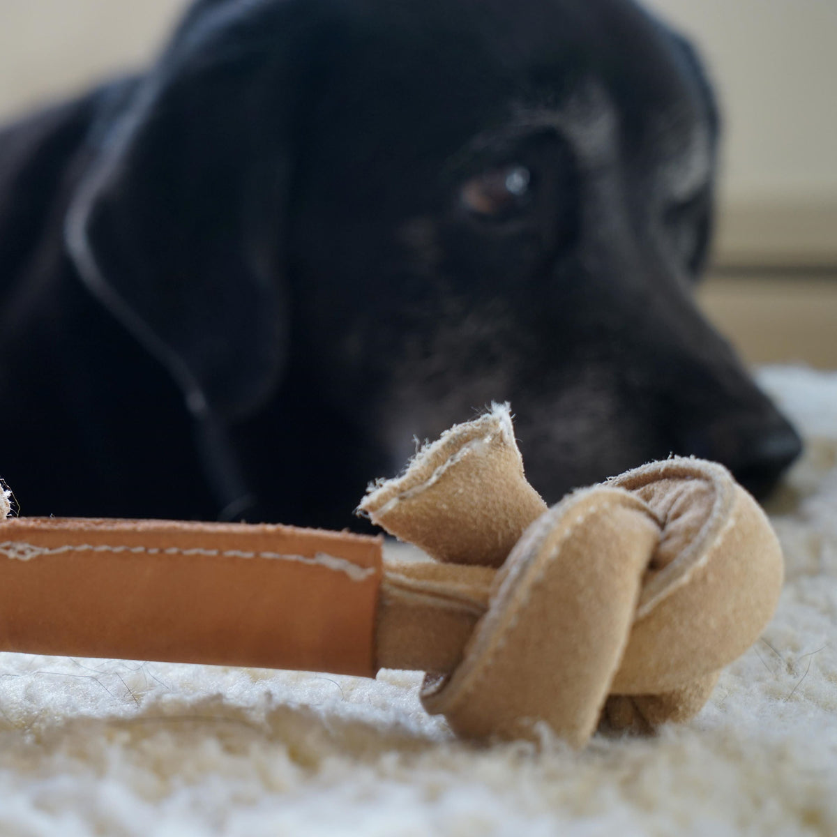 Huggle-Hide® Natural Leather Bone Dog Toy, 3 Pack
