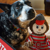 NCAA Ohio State University, Brutus the Buckeye Knottie® Plush Dog Toy