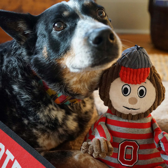 NCAA Ohio State University, Brutus the Buckeye Knottie® Plush Dog Toy