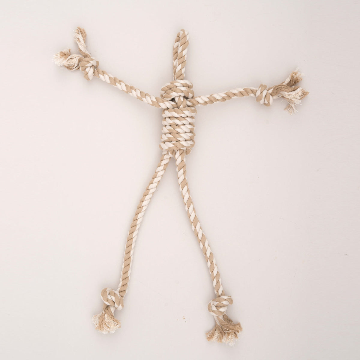 Birch Bunny X-Brace™ Plush Dog Toy