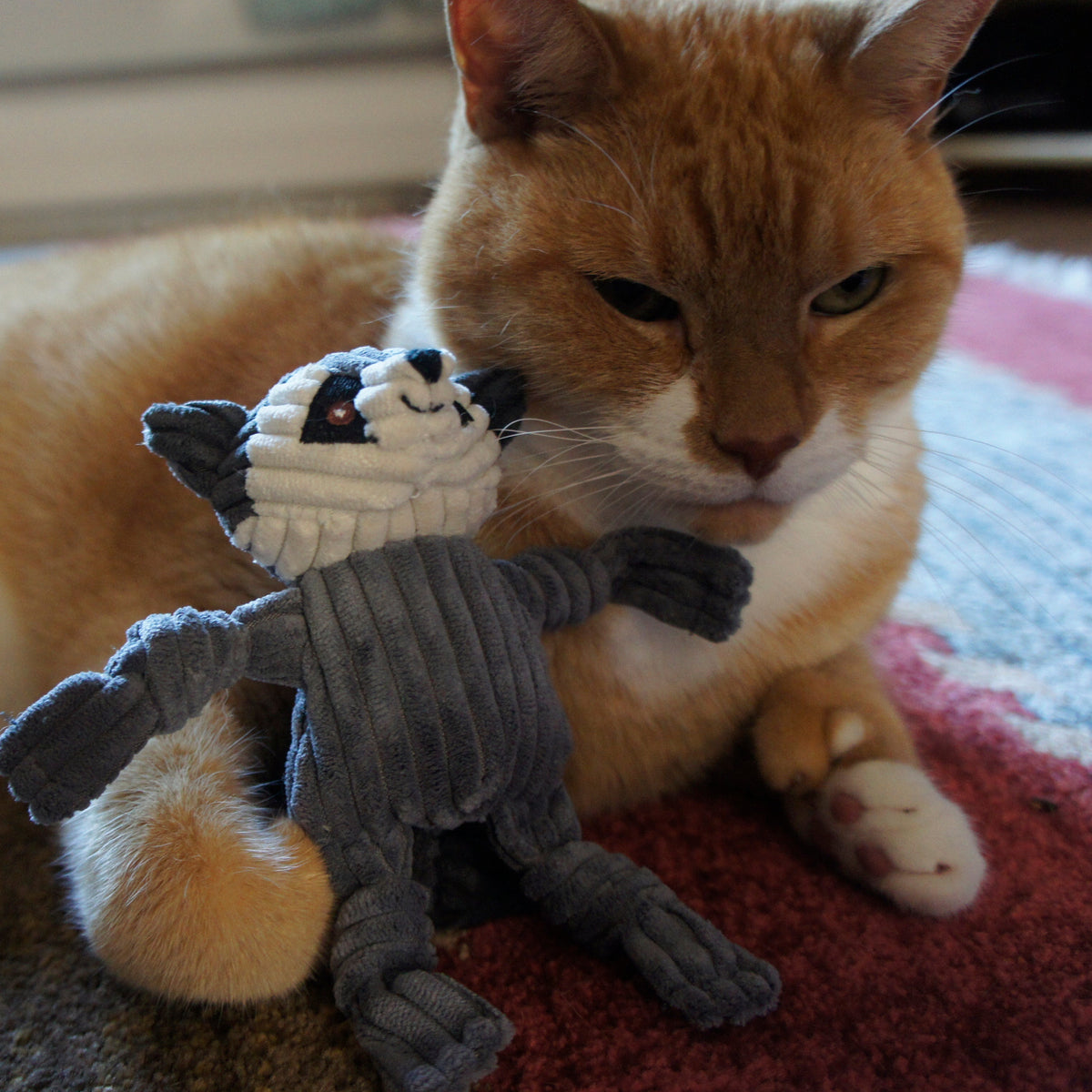 HuggleKats® Woodland Bucket of Cat Toys, 12 Pack