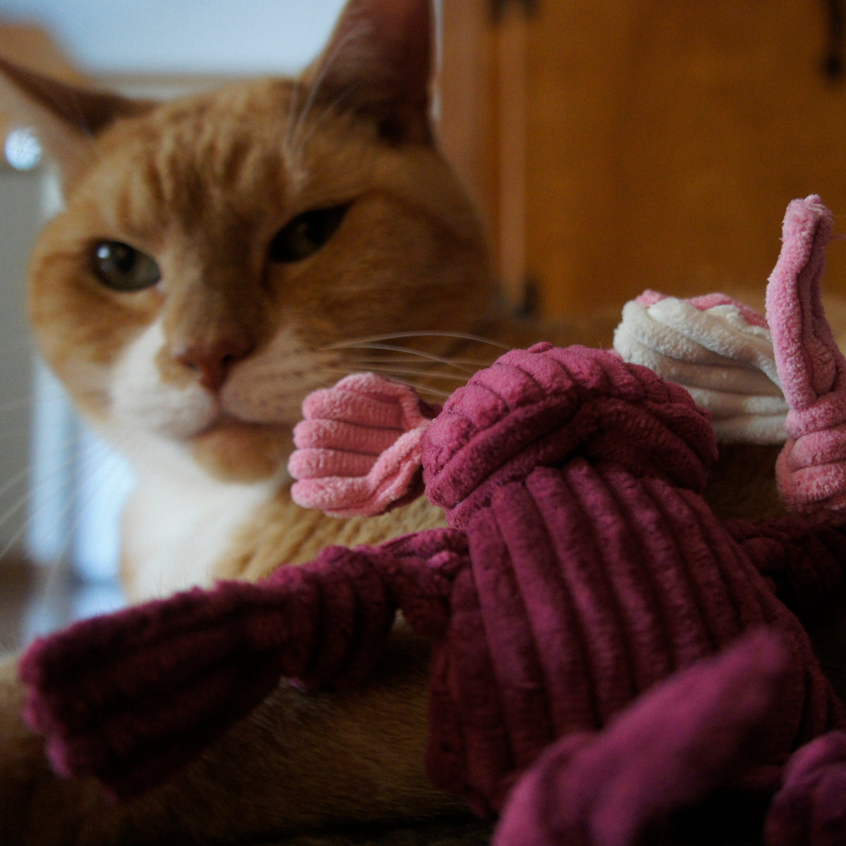 HuggleKats® Woodland Bucket of Cat Toys, 12 Pack