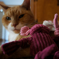 HuggleKats® Woodland Bucket of Cat Toys, 12 Pack