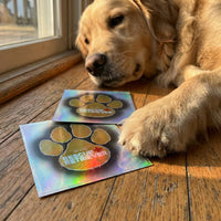 Rescue Retriever® Reflective Pet Alert Safety Sticker 2 Pack | Pets Inside Fire Rescue Decal| Window Door Sign | Designed by a Firefighter