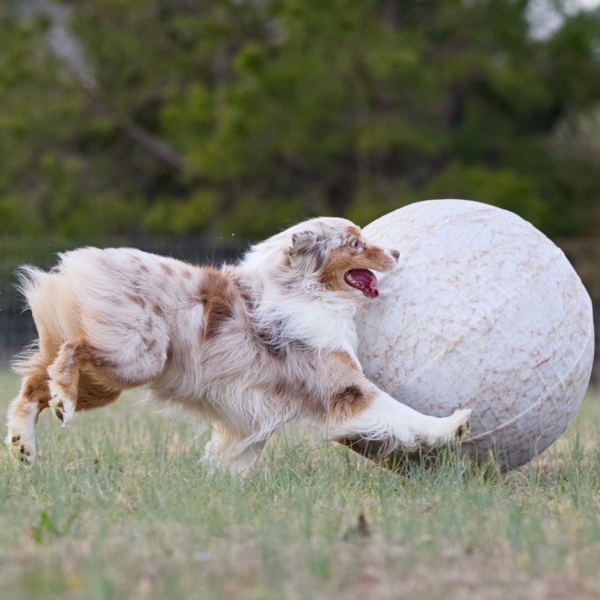 Better Sporting Dogs 25” Heavy Duty Sheep Lookalike Herding Ball for Dogs
