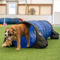 Better Sporting Dogs 10 ft Dog Agility Tunnel with Sandbags
