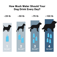 Vapur® EZ Lick™ Portable Dog Water Bottle