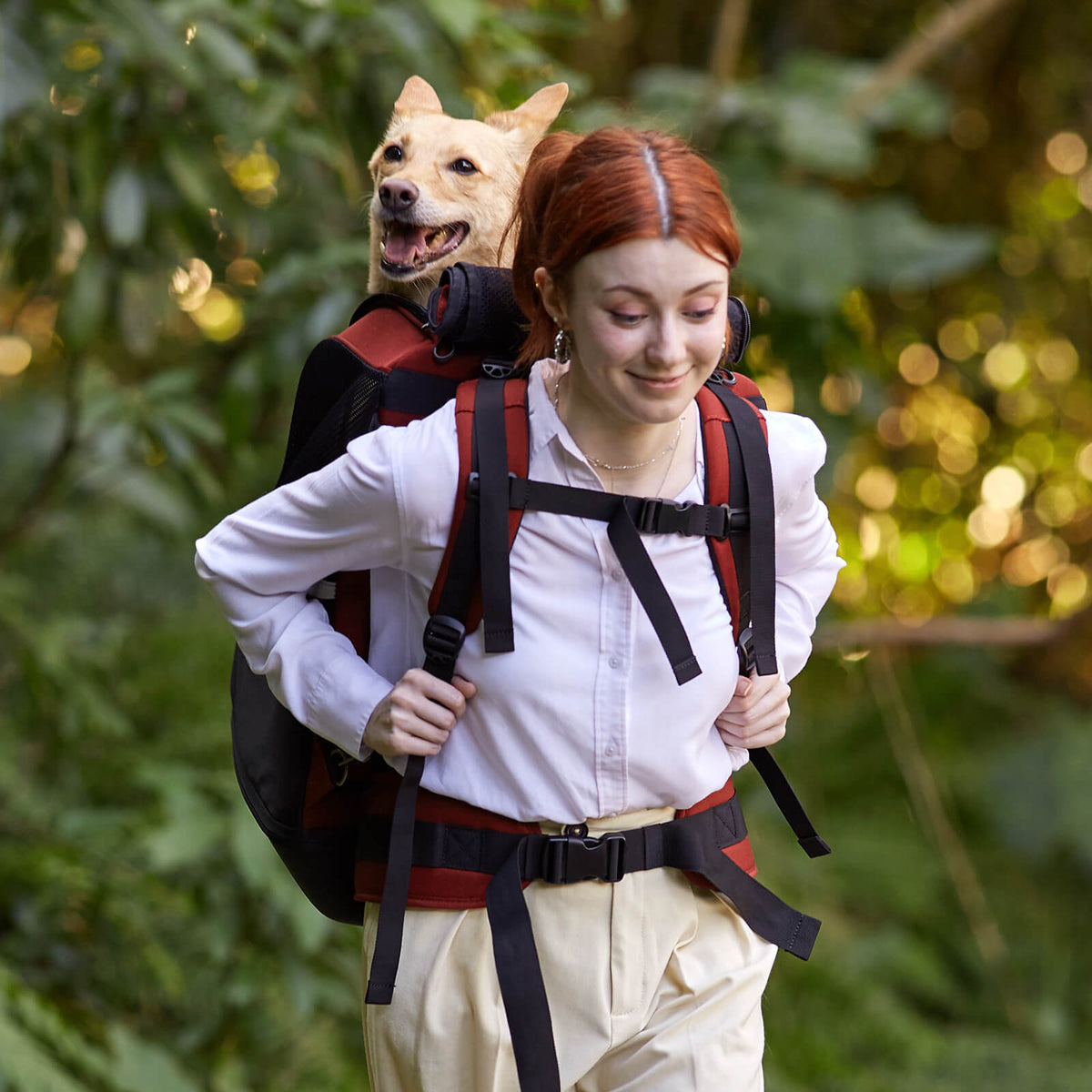 Champion Large Dog Carrier Backpack, with Optional Wheels