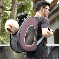 5-in-1 Combo EVA Pet Carrier Stroller Backpack